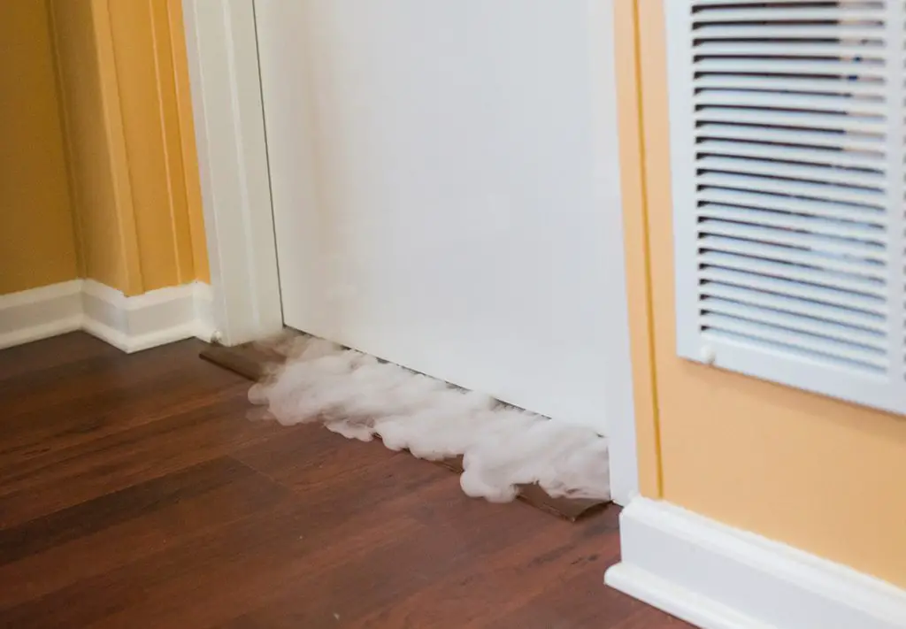 How To Get Rid Of Bad Pet Odor In House