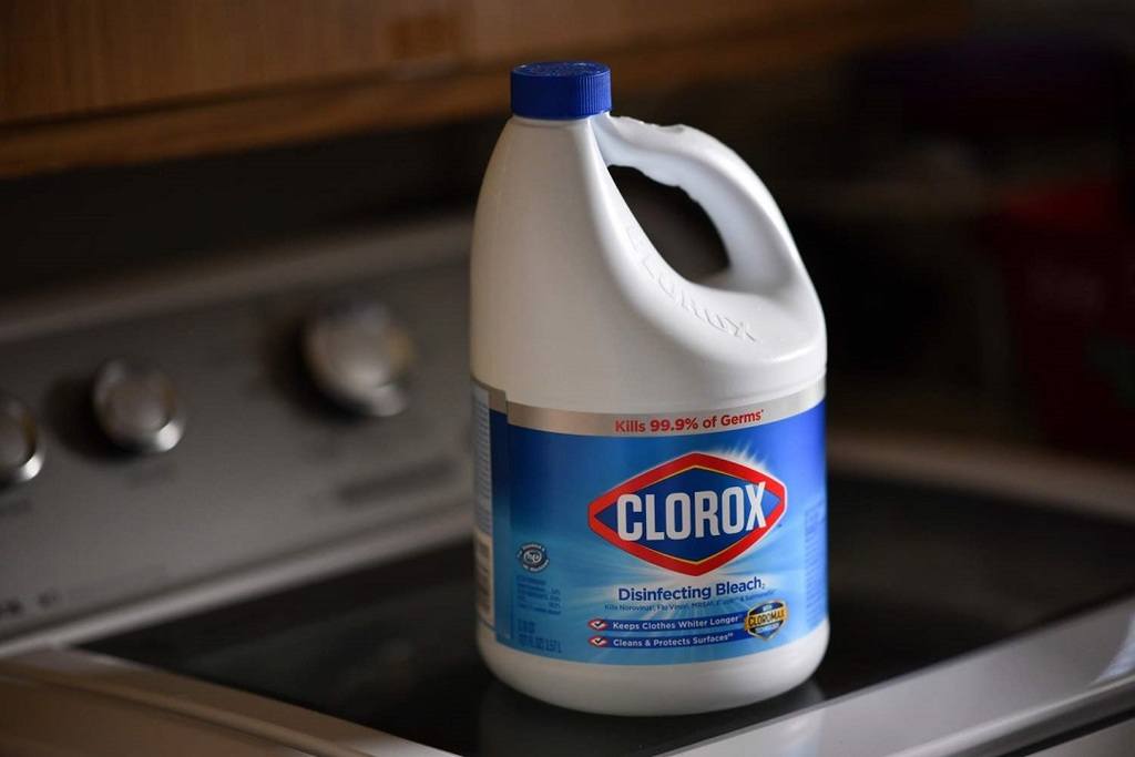 Can You Clean An Oven With Bleach Find The Answer To Your Burning