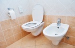 Can a Bidet Replace Toilet Paper