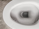 Is Toilet Water Clean After Flushing